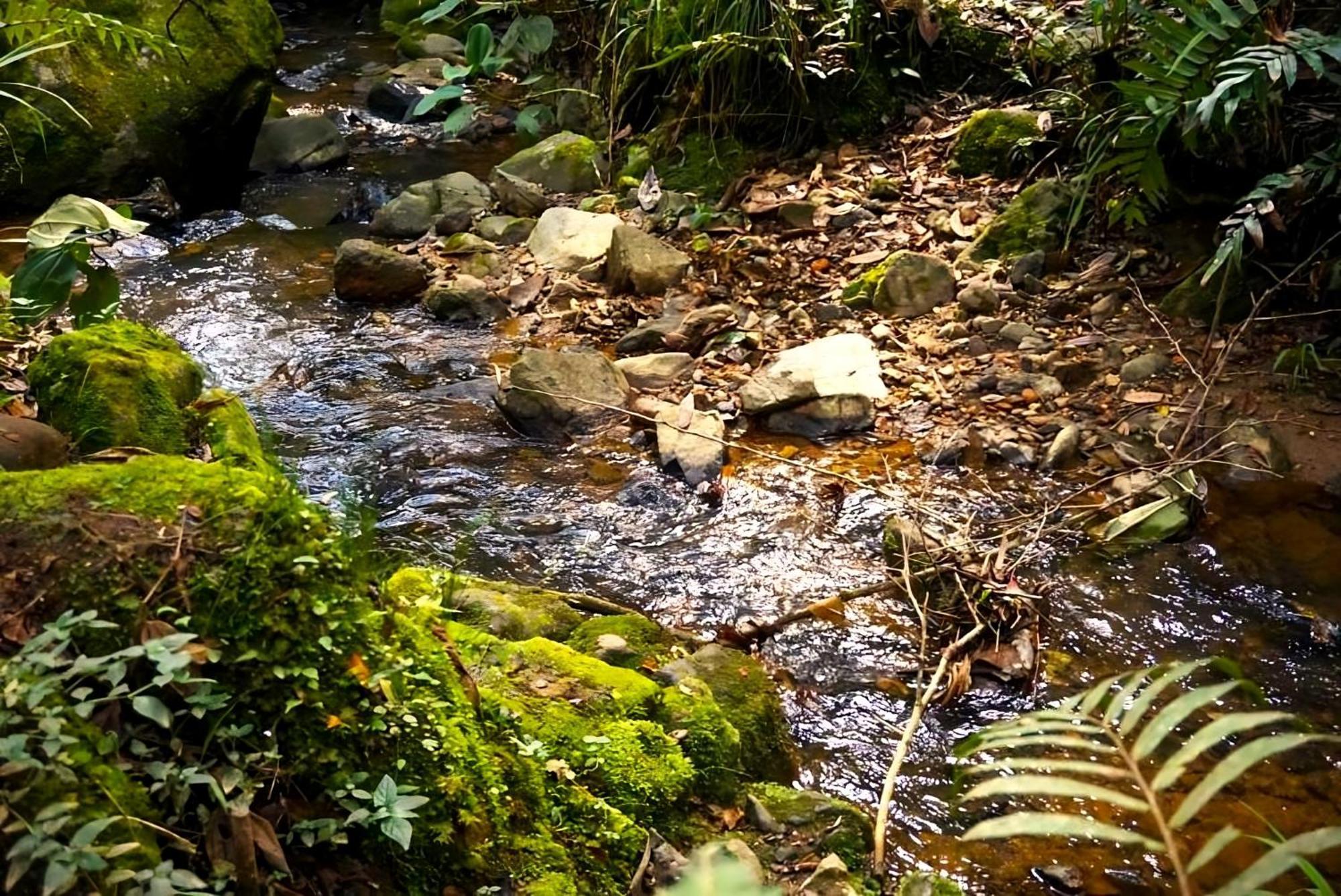 Encanto Minicasitas En Medio De La Naturaleza Santa Elena  Bagian luar foto