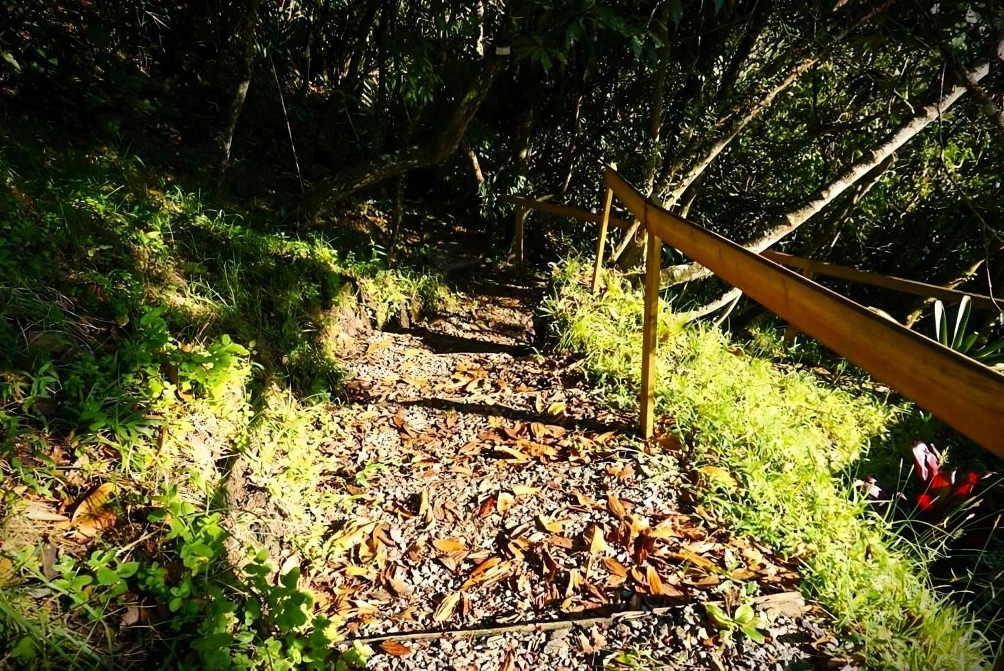 Encanto Minicasitas En Medio De La Naturaleza Santa Elena  Bagian luar foto