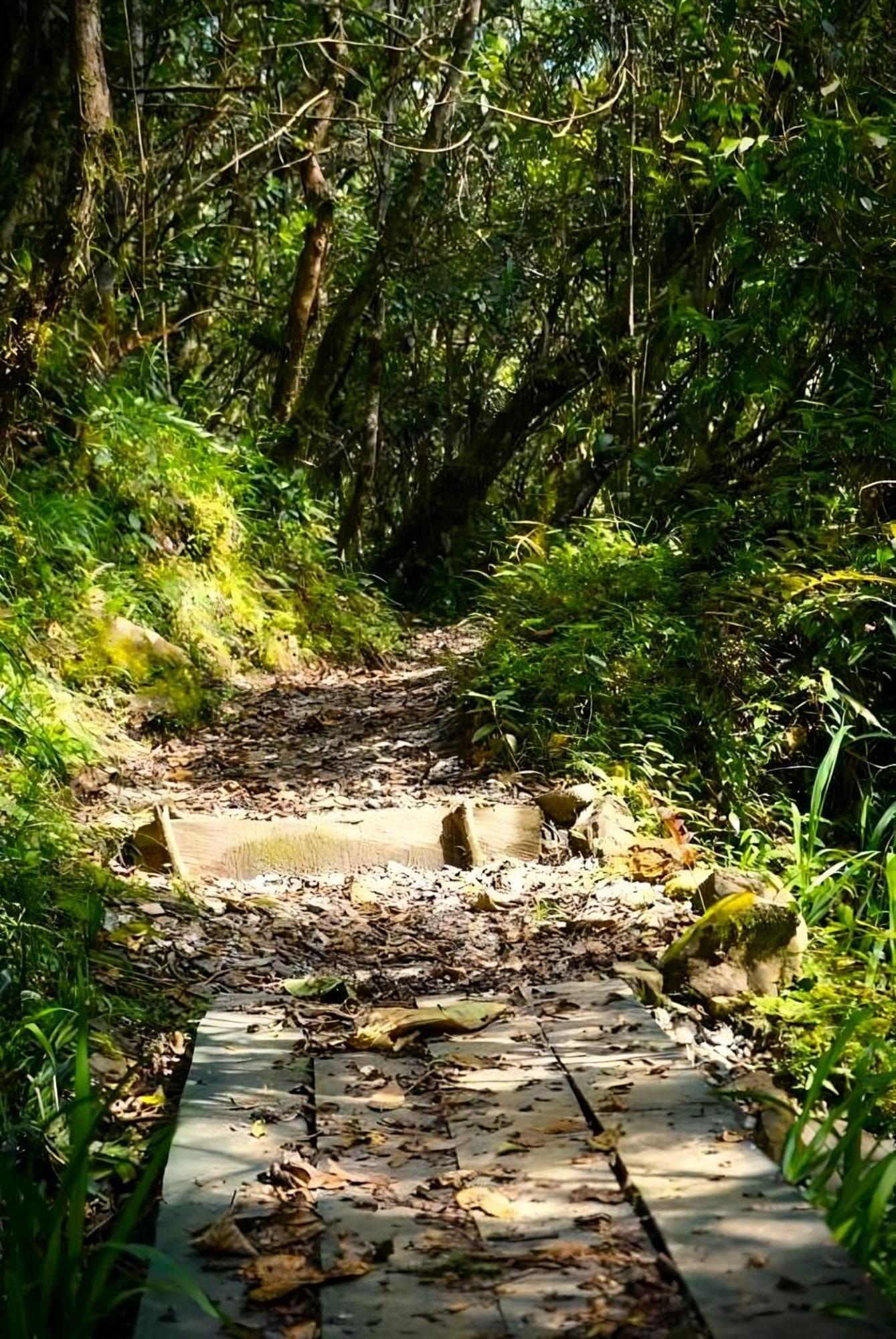 Encanto Minicasitas En Medio De La Naturaleza Santa Elena  Bagian luar foto